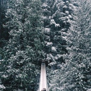 Meet your Posher, Jooyeun